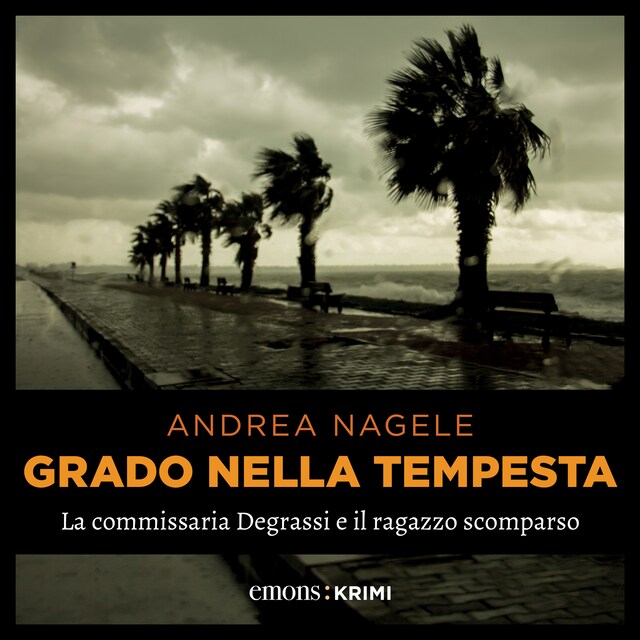 Copertina del libro per Grado nella tempesta