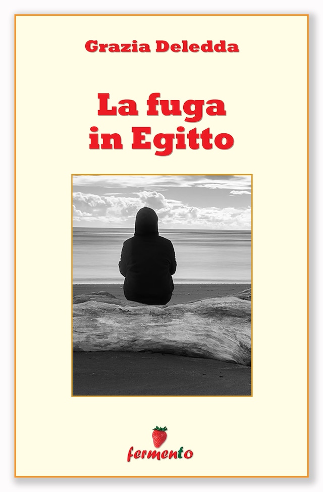 Book cover for La fuga in Egitto