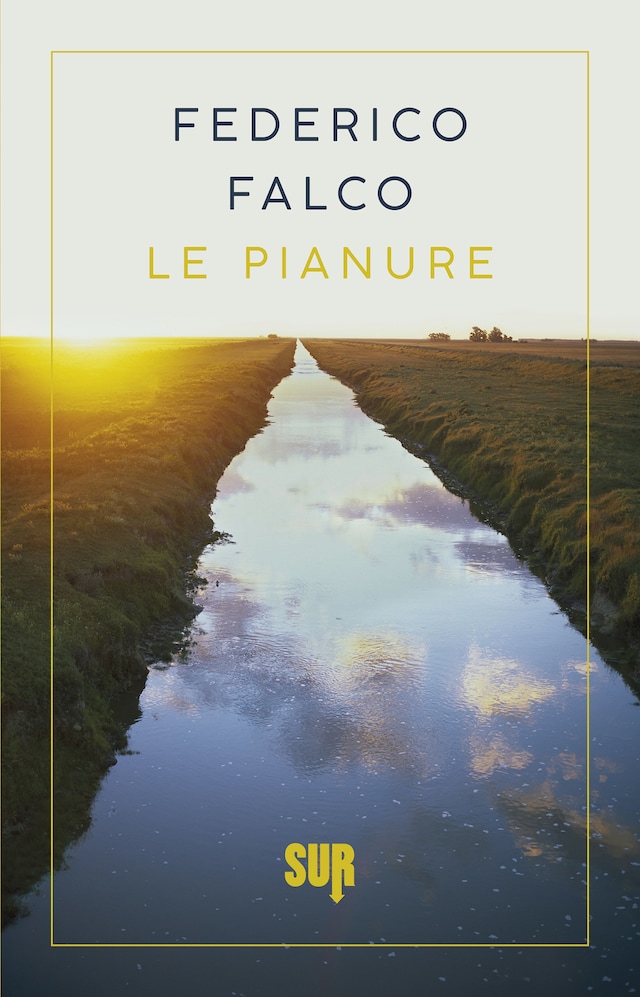 Book cover for Le pianure