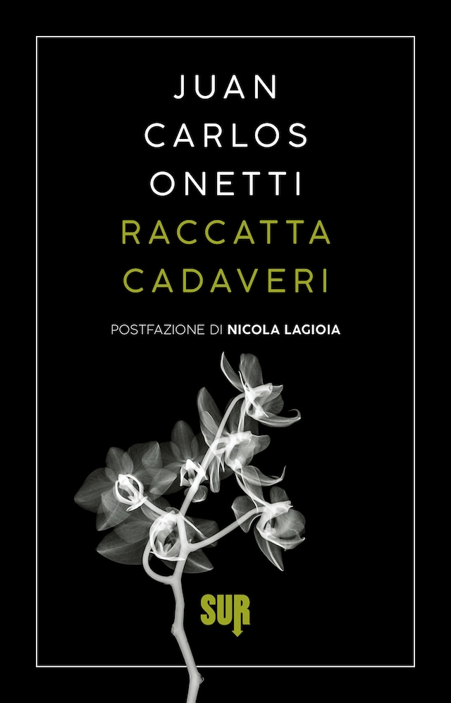 Book cover for Raccattacadaveri