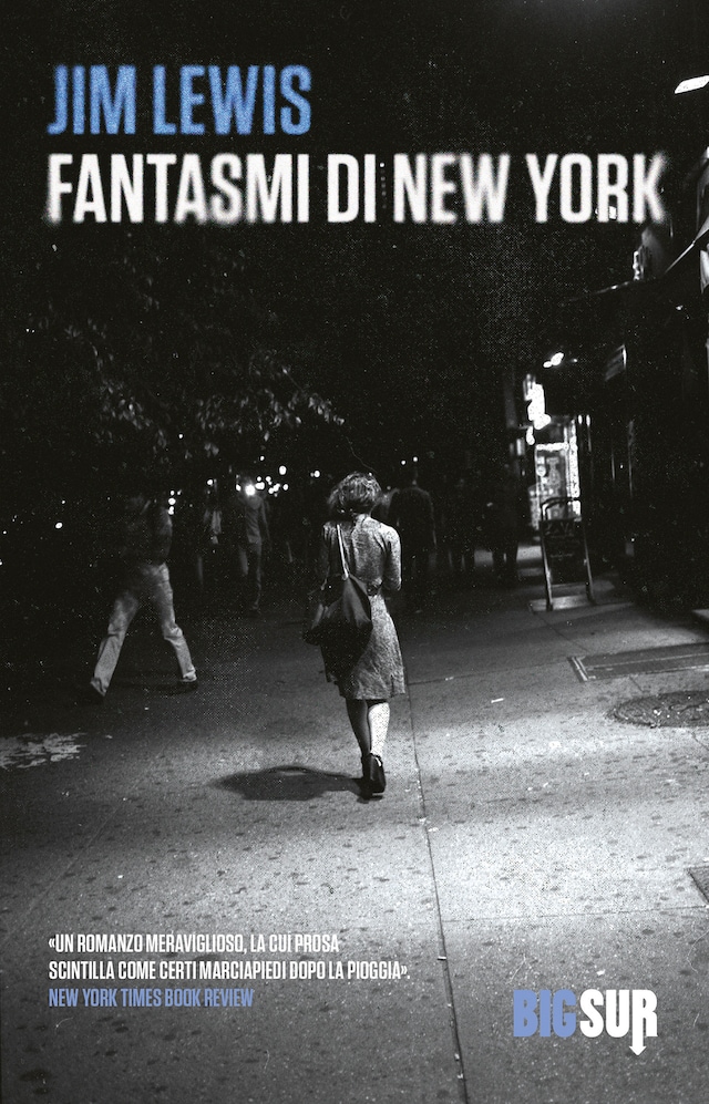 Book cover for Fantasmi di New York