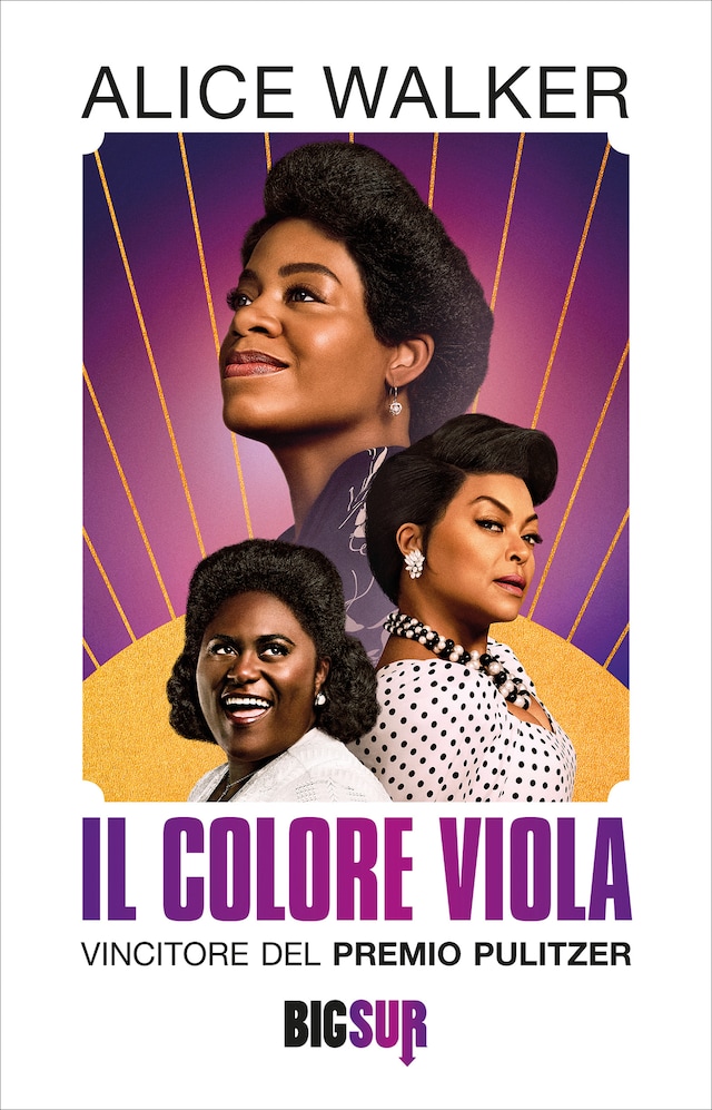 Book cover for Il colore viola