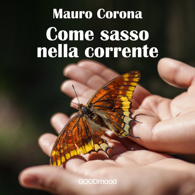 Boekomslag van Come sasso nella corrente