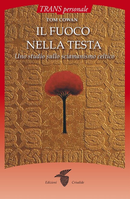Il fuoco nella testa bookCoverFor