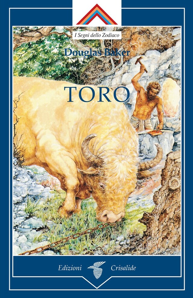 Book cover for Toro