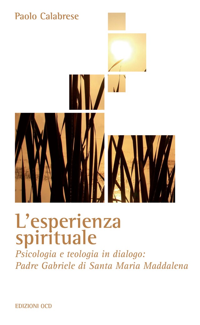 Book cover for L’esperienza spirituale