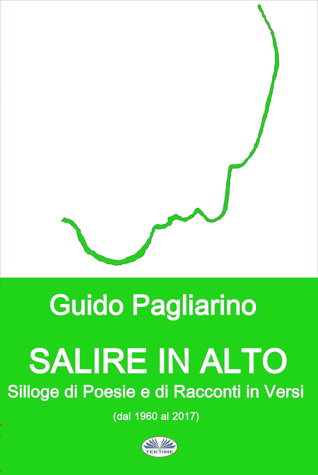 Book cover for Salire In Alto