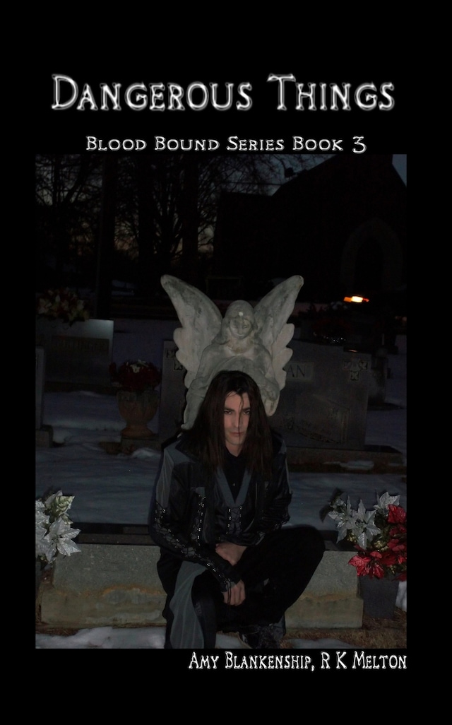 Bogomslag for Dangerous Things (Blood Bound Book 3)