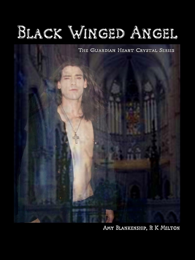 Book cover for Black Winged Angel