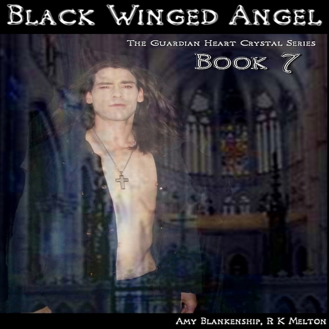 Boekomslag van Black Winged Angel
