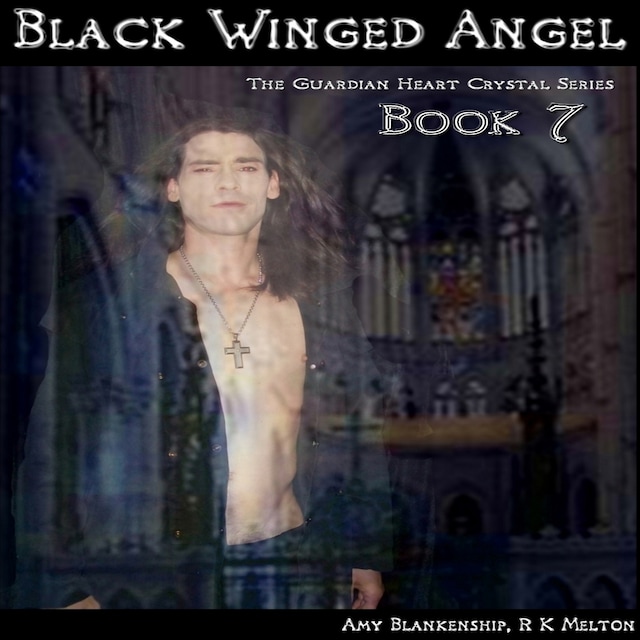 Buchcover für Black Winged Angel