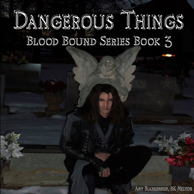 Book cover for Dangerous Things (Blood Bound Book 3)