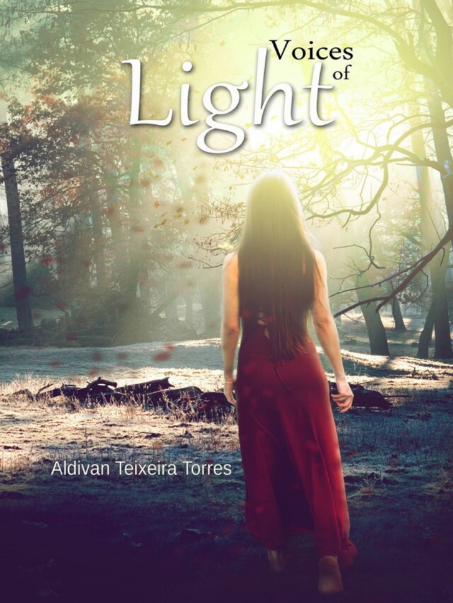 Book cover for Voices Of Light