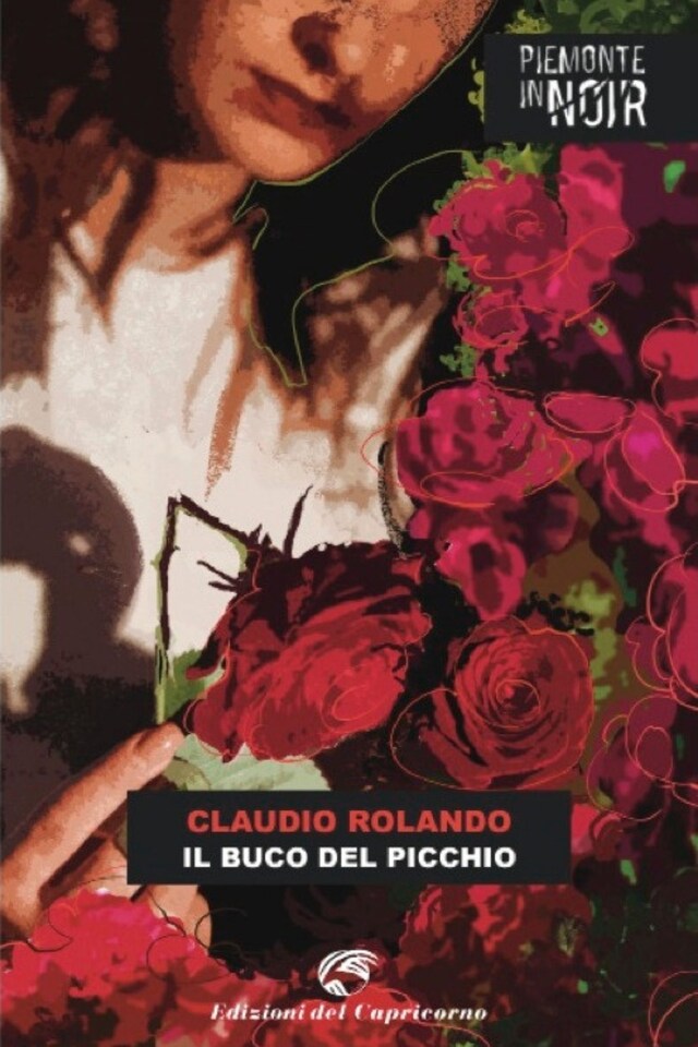 Portada de libro para Il buco del picchio