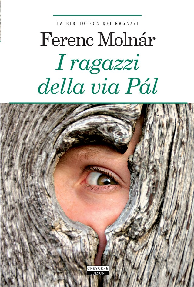 Copertina del libro per I ragazzi della via Pál