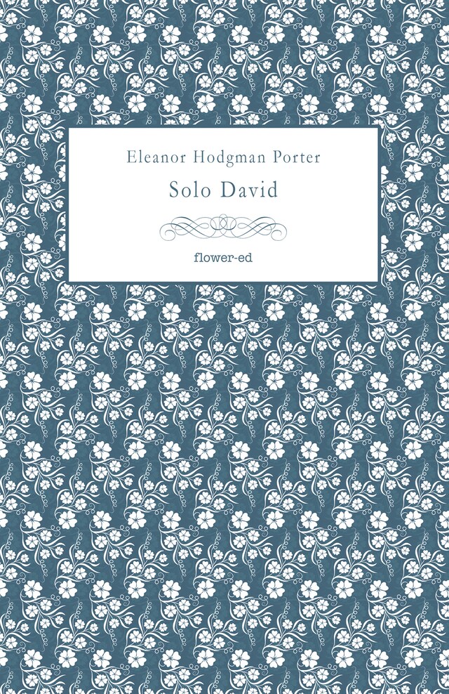 Book cover for Solo David