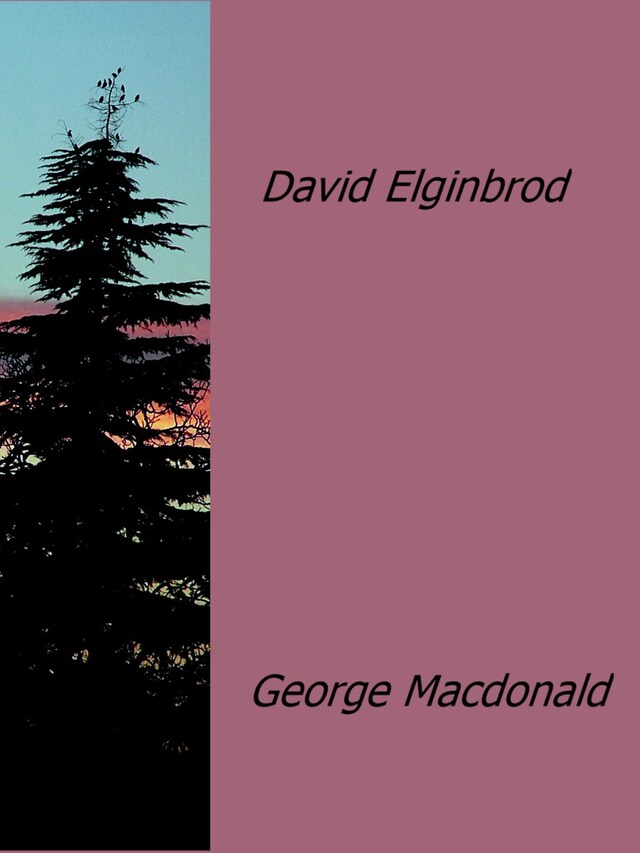 Buchcover für David Elginbrod