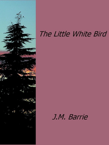 The Little White Bird bookCoverFor
