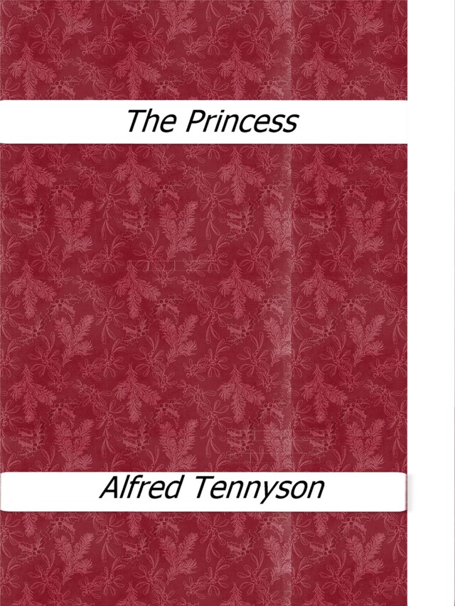 Buchcover für The Princess