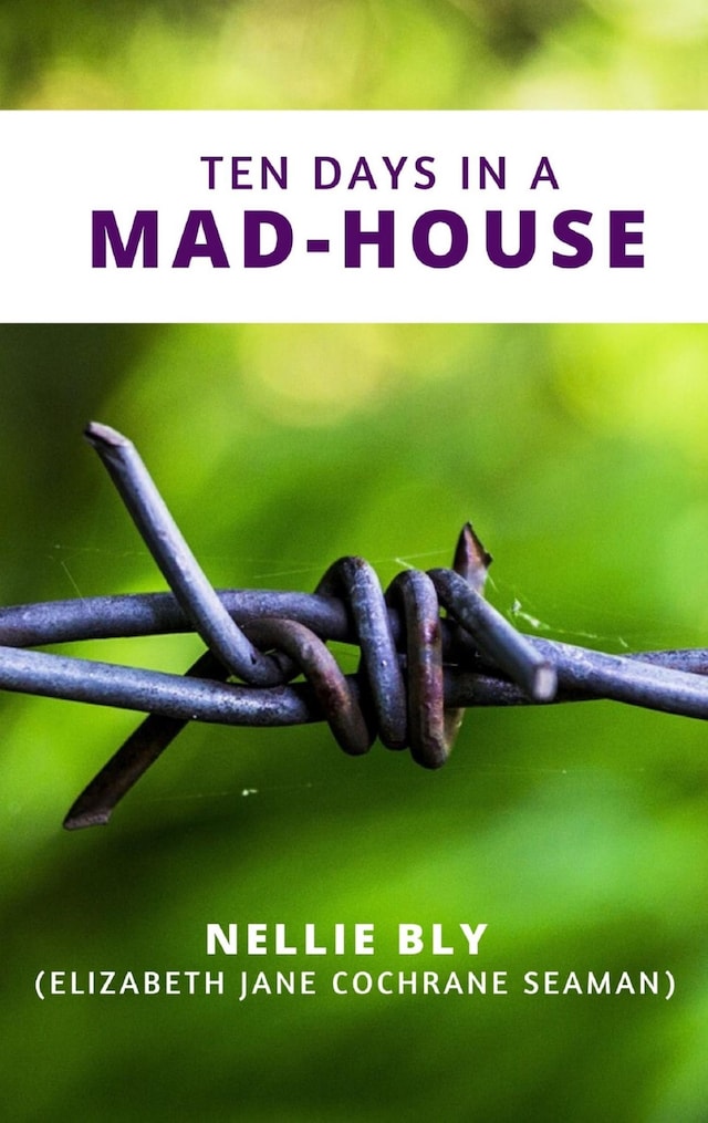 Book cover for Ten Days in a Mad-House