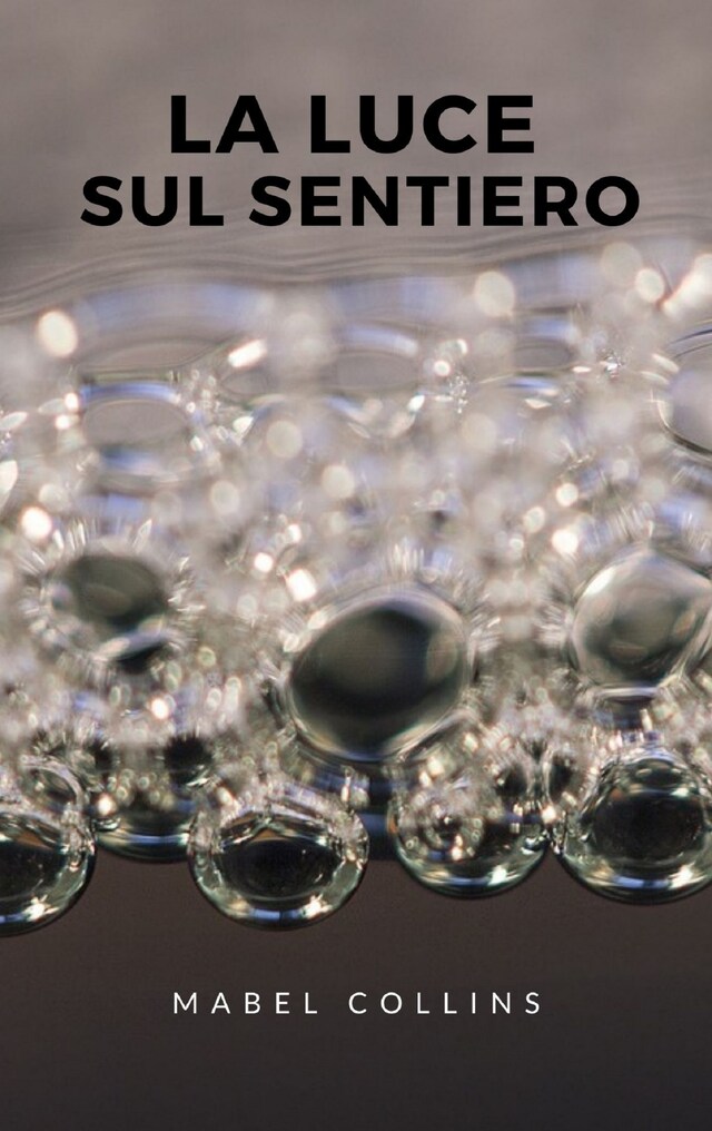 Book cover for La luce sul sentiero