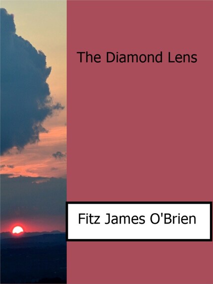 The Diamond Lens bookCoverFor