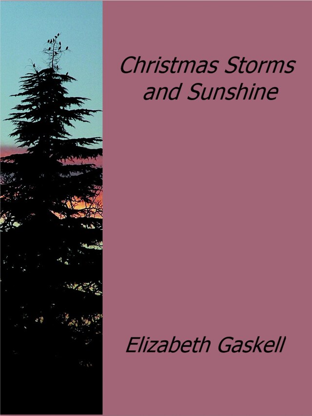 Buchcover für Christmas Storms and Sunshine
