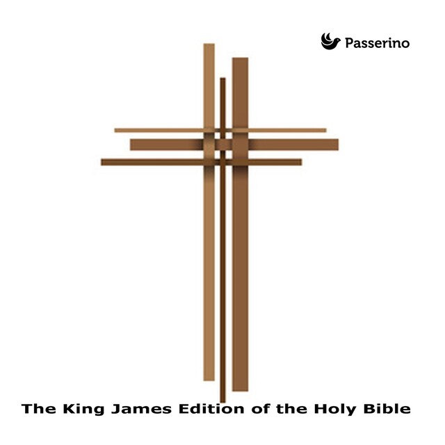 Kirjankansi teokselle The King James Edition of the Holy Bible