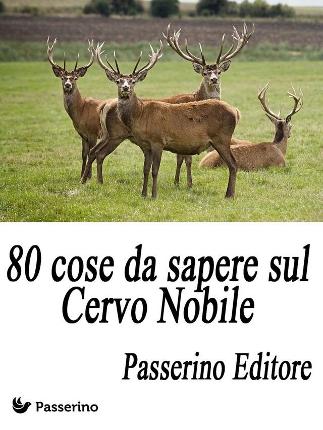 Boekomslag van 80 cose da sapere sul Cervo Nobile