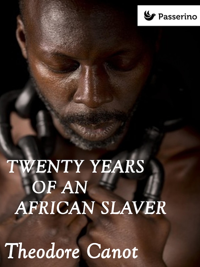 Book cover for Twenty years of an african slaver