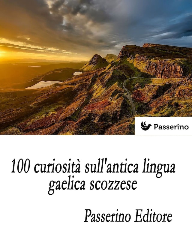 Boekomslag van 100 curiosità sull'antica lingua gaelica scozzese