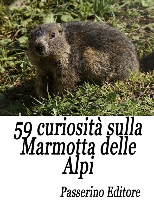 Portada de libro para 59 curiosità sulla marmotta delle Alpi