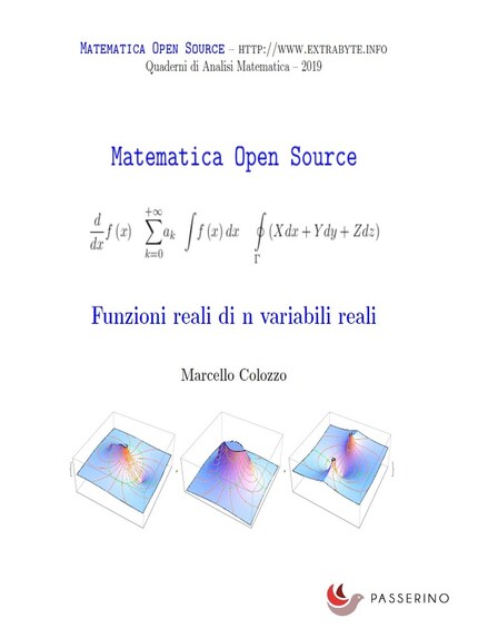 Funzioni reali di n variabili reali bookCoverFor