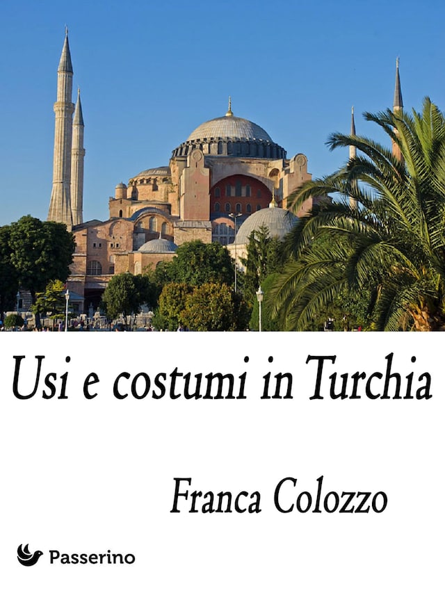 Book cover for Usi e costumi in Turchia