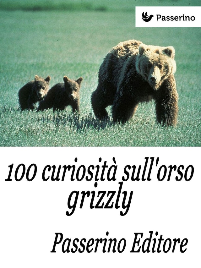 Book cover for 100 curiosità sull'orso grizzly