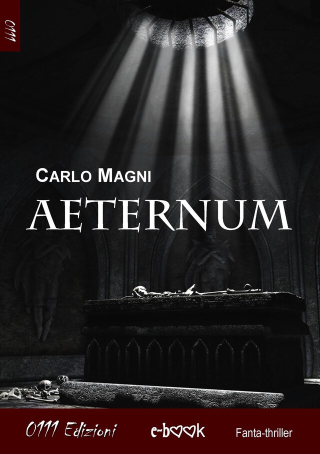 Copertina del libro per Aeternum