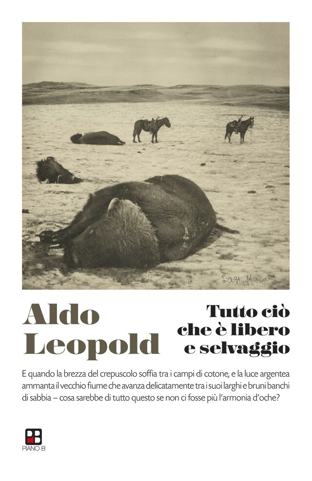 Portada de libro para Tutto ciò che è libero e selvaggio