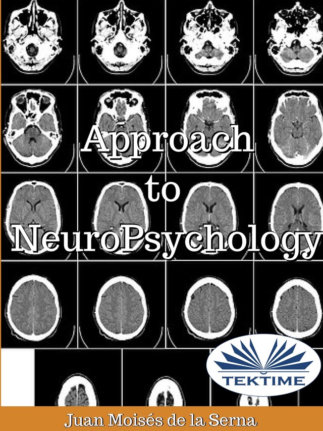Boekomslag van Approach To Neuropsychology