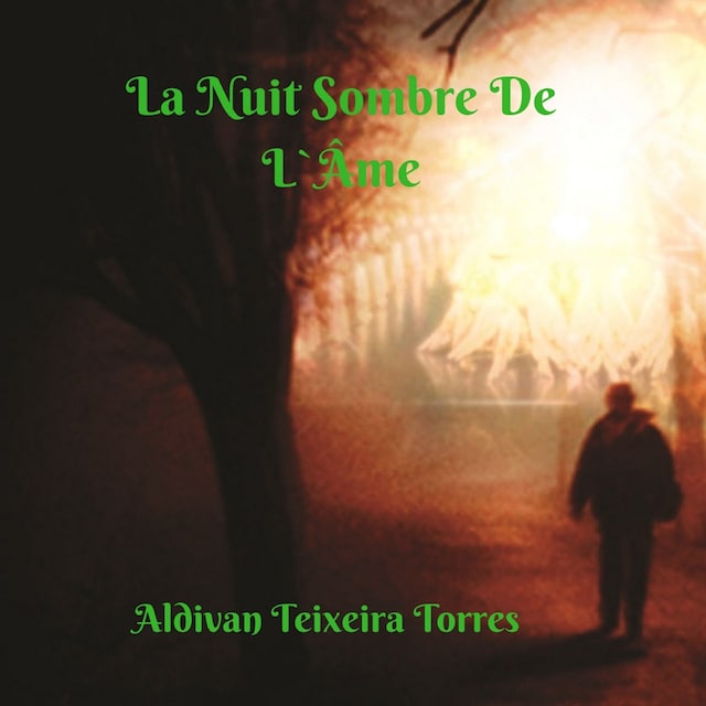 Copertina del libro per La Nuit Sombre De L'Âme