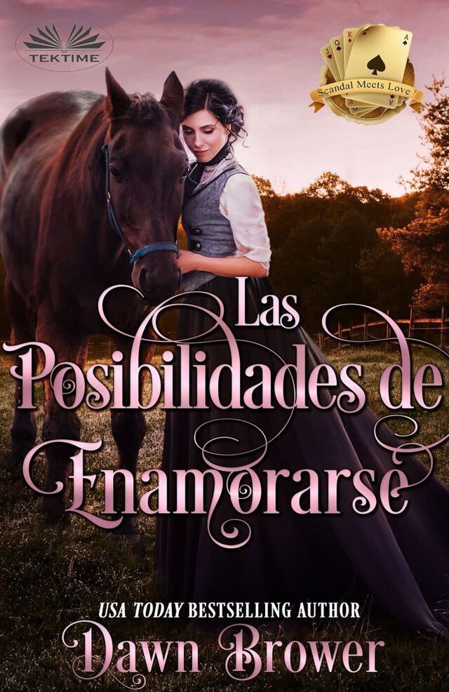 Book cover for Las Posibilidades De Enamorarse