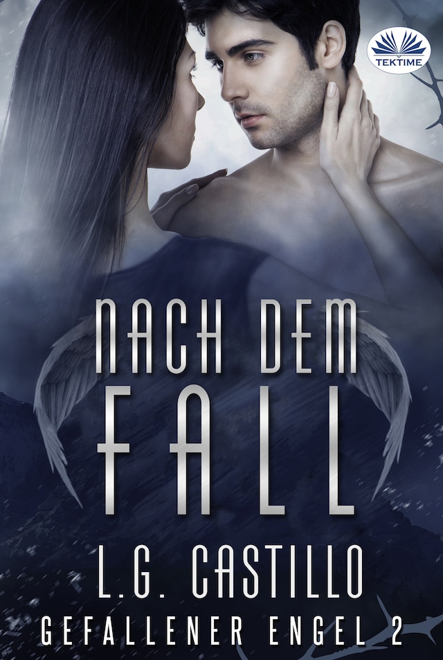 Book cover for Nach Dem Fall (Gefallener Engel #2)