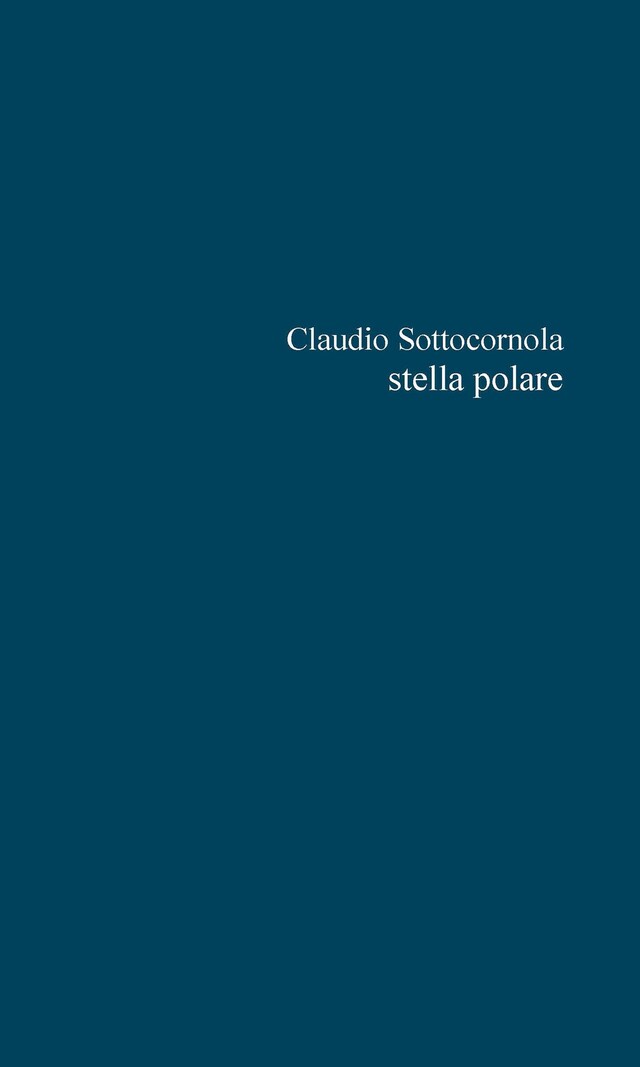 Book cover for Stella polare