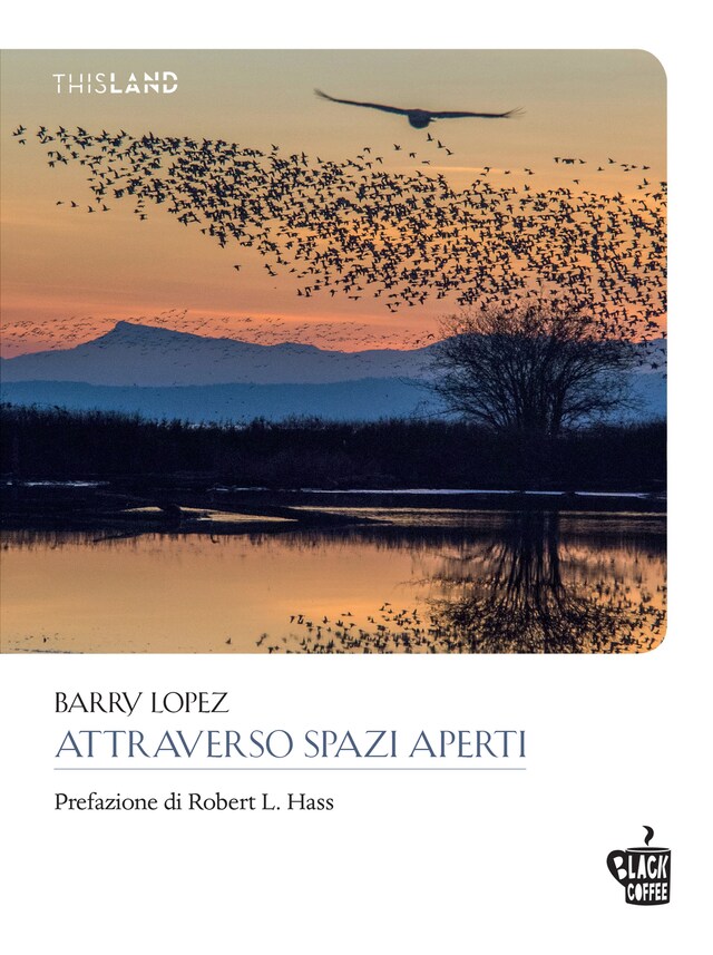 Couverture de livre pour Attraverso spazi aperti