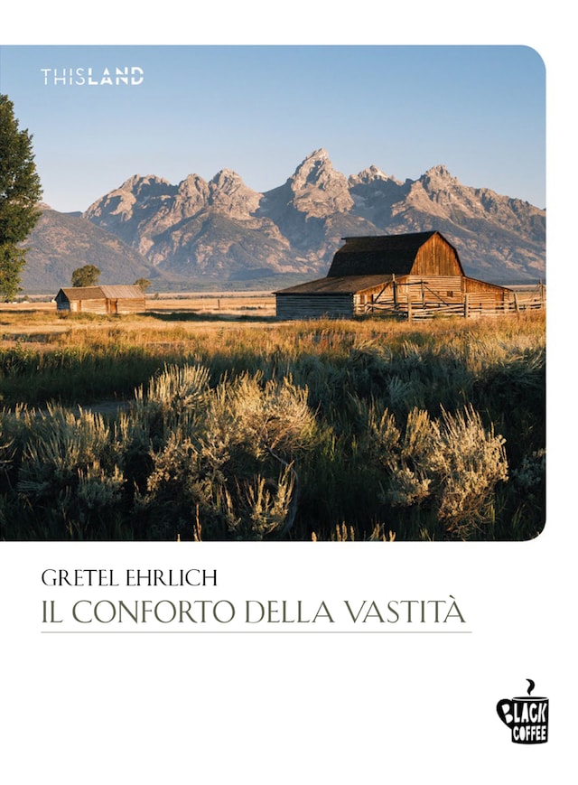 Buchcover für Il conforto della vastità