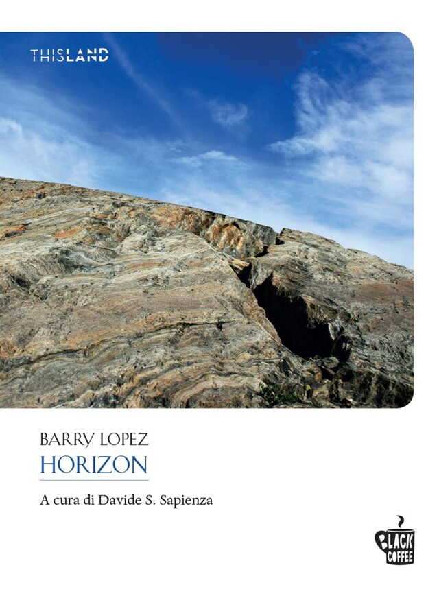 Book cover for Horizon