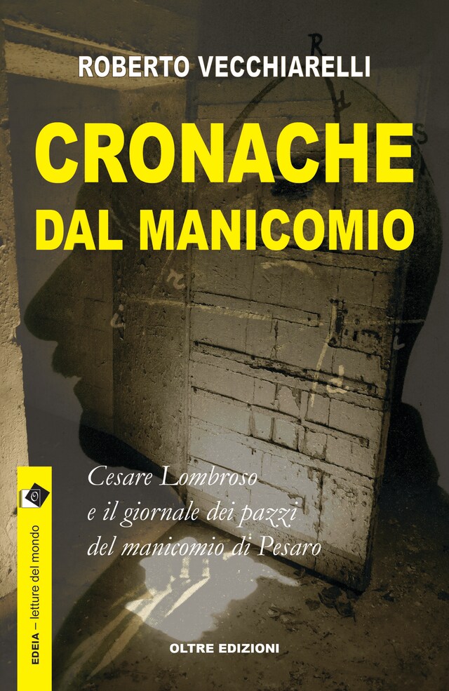 Book cover for Cronache dal manicomio