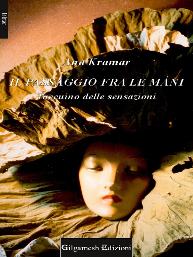 Book cover for Il passaggio fra le mani