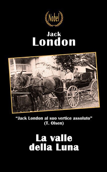 La valle della Luna bookCoverFor