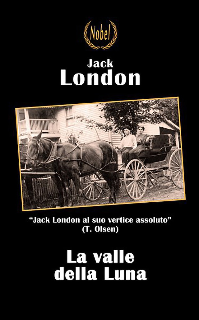 Book cover for La valle della Luna