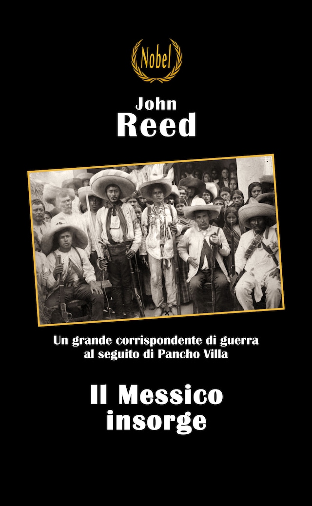 Book cover for Il messico insorge